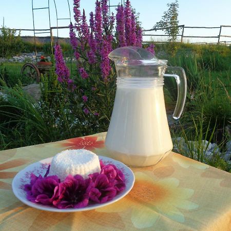 Farma Kozi Dvor Rohozna Daire Brezno Dış mekan fotoğraf