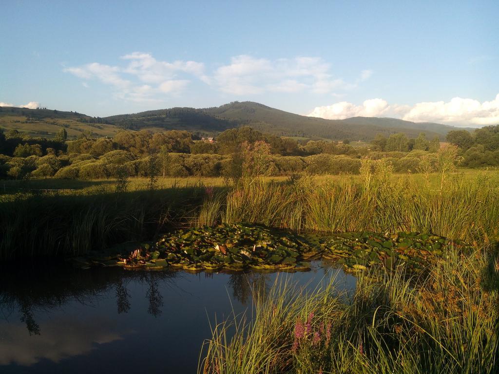 Farma Kozi Dvor Rohozna Daire Brezno Dış mekan fotoğraf